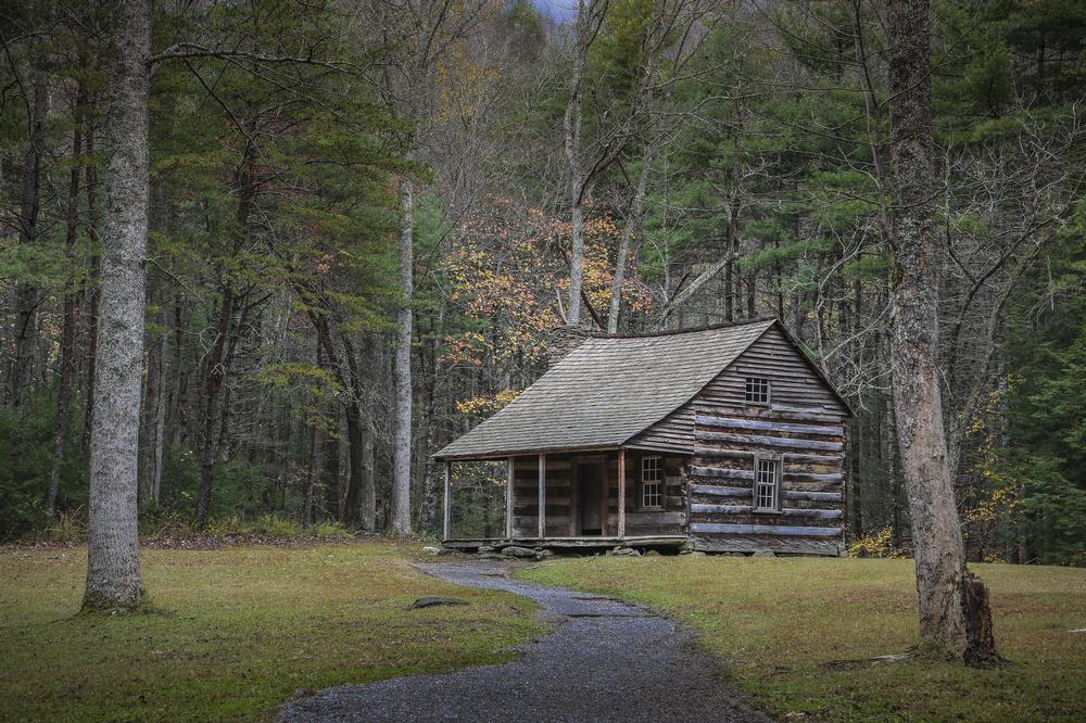 Cycle or Cruise Scenic Loops for Wildlife at Cades Cove