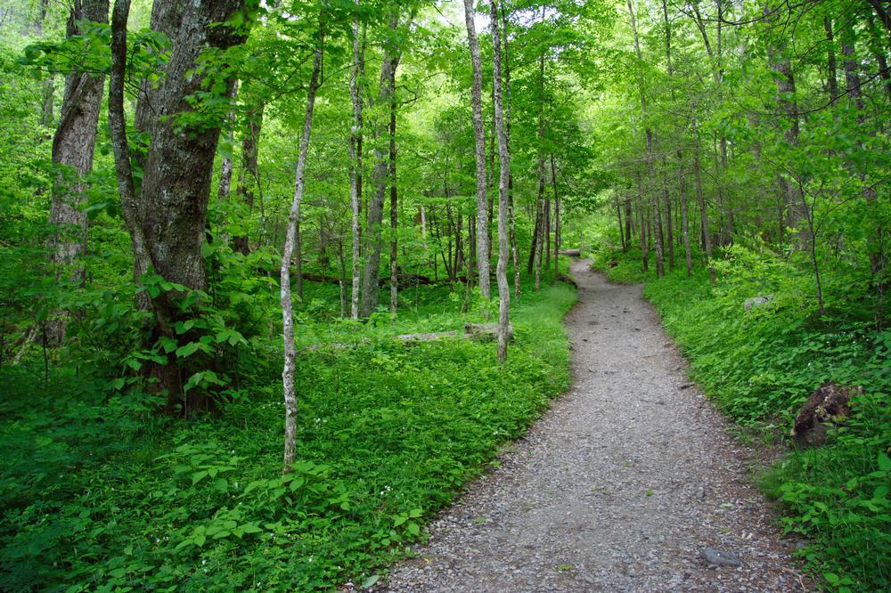 Conquer the Climb and Catch Epic Views on Chimney Tops Trail