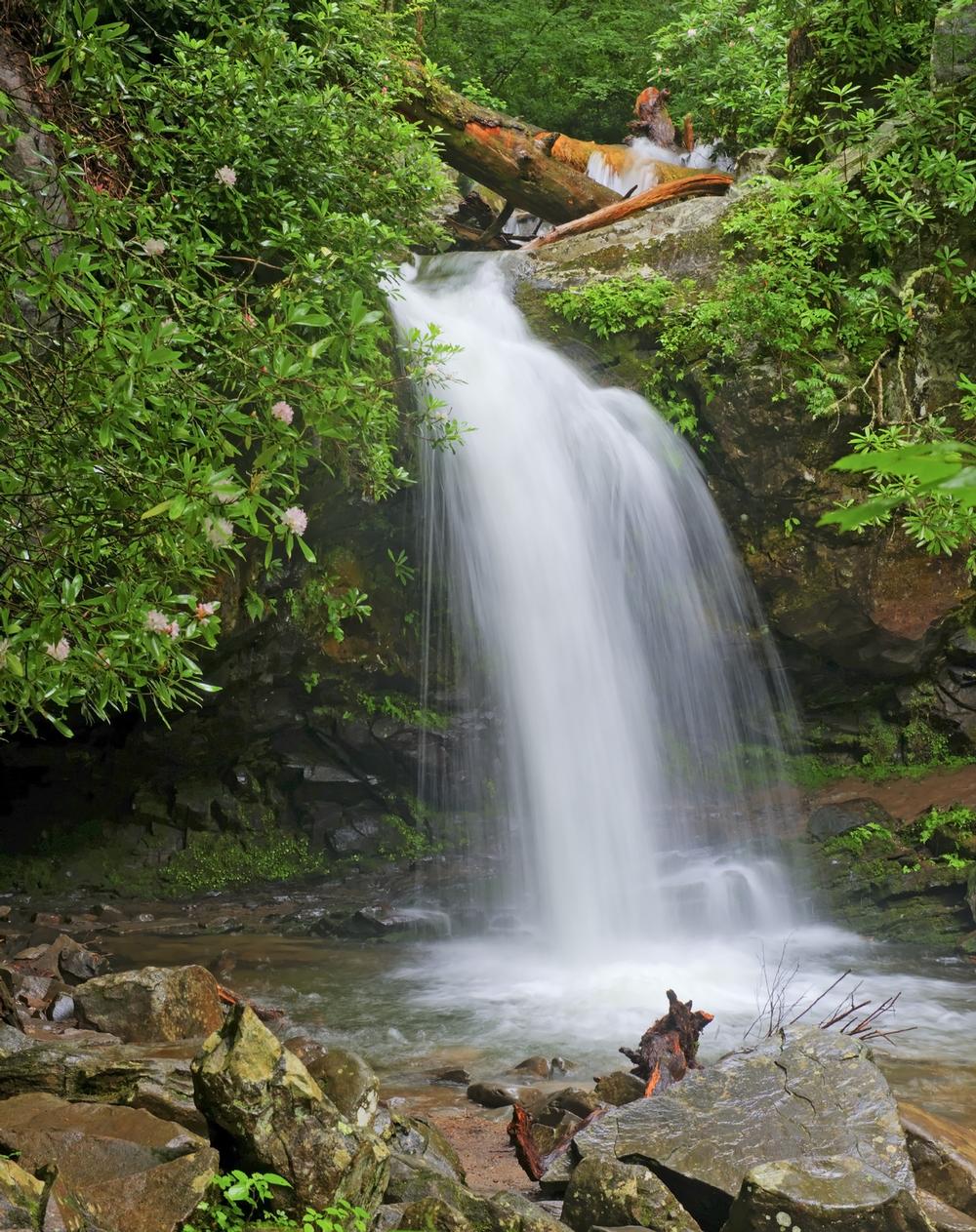 Hike to Grotto Falls and Walk Behind a Cascading Waterfall