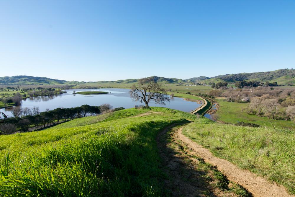 Hike, Picnic, and Explore Nature at Pena Adobe and Lagoon Valley Park
