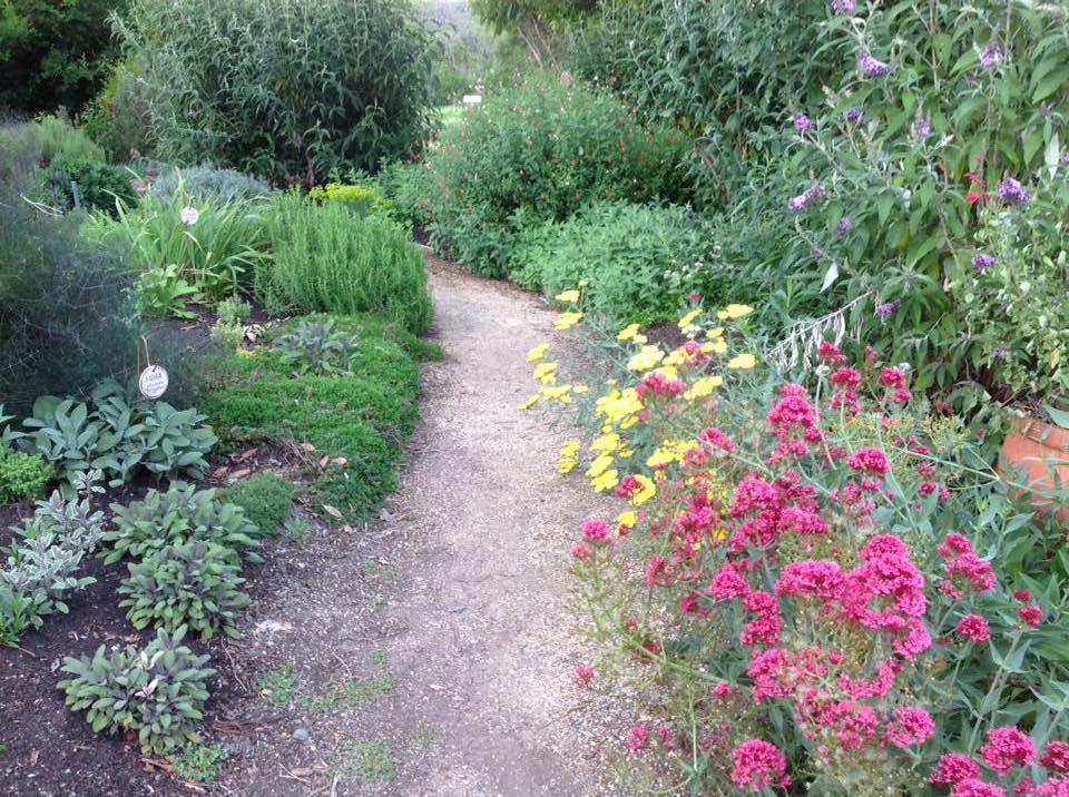 If You Love Gardens and Aromatherapy, Visit Morningsun Herb Farm