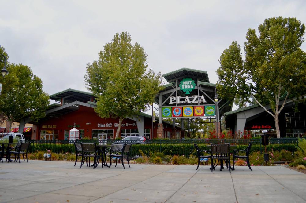 Shop, Dine, and Play at The Nut Tree Plaza