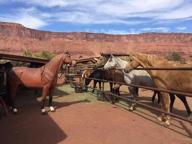Hauer Ranch Lodging