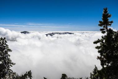 Mt Baldy (Mt Baldy Elevation)