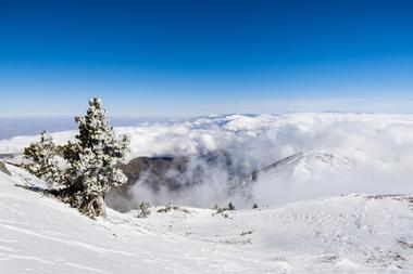 Elevation of Mt Baldy