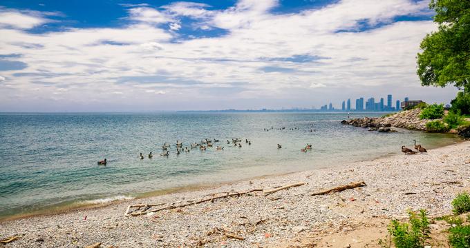 Beach near Toronto