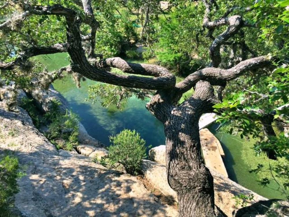 Jacob's Well Natural Area