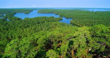 Alabama Day Trips