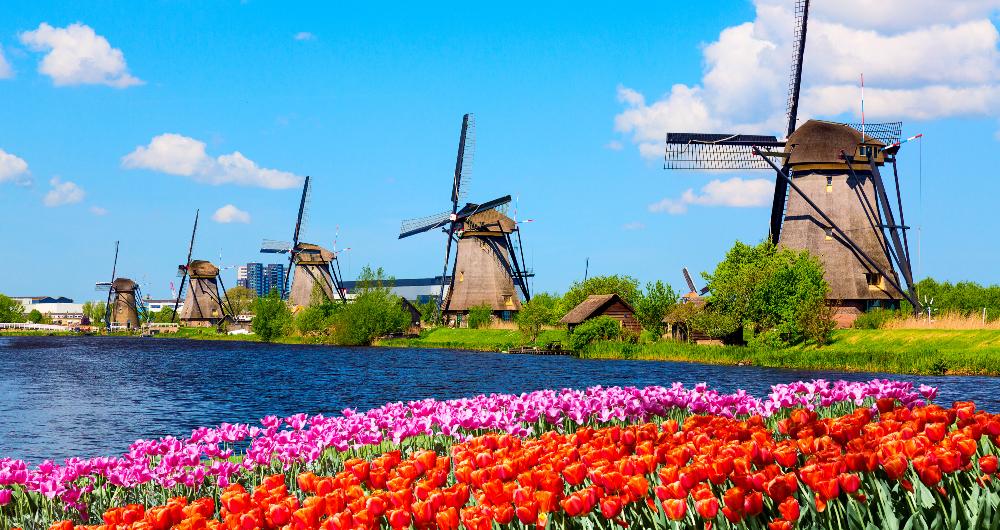 25 Best Amsterdam Day Trips