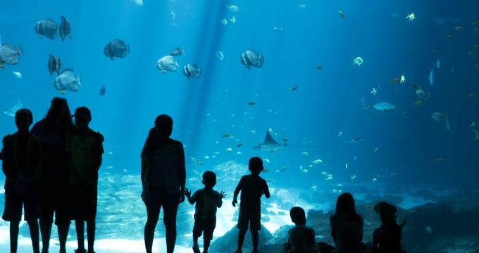 Best aquariums on the east coast