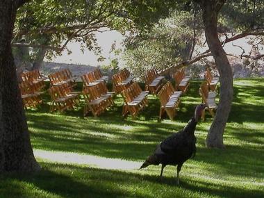 Outdoor Wedding Venues in Arizona: Van Dickson Ranch