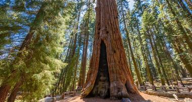 Sequoia and Kings Canyon National Parks