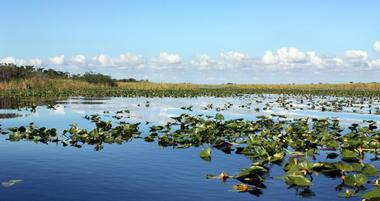 25 Best Day Trips in Fort Lauderdale