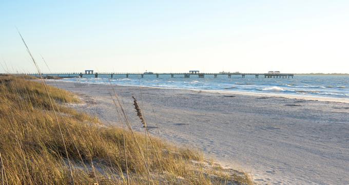 are dogs allowed on beach in seaside fl