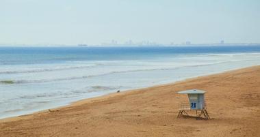 Dog Friendly Beaches in LA