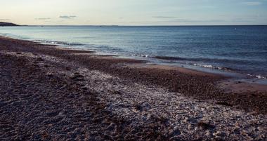 Dog Friendly Beaches in Massachusetts