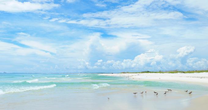 Socialist tilstrækkelig Kælder 25 Best Beaches on the Florida Gulf Coast