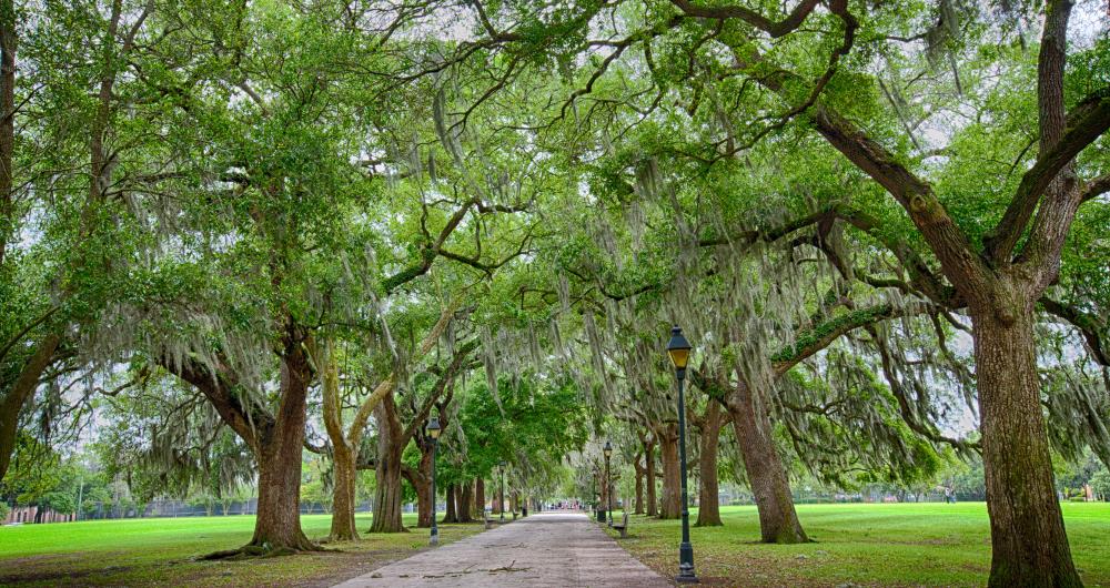 10 Best Free Things to Do in Savannah