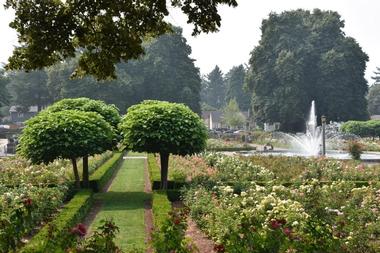 International Rose Test Garden, Portland