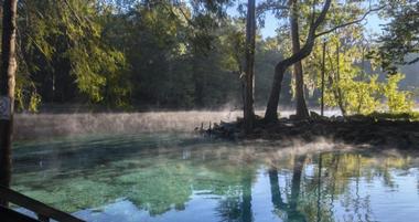 20 Best Springs in Florida