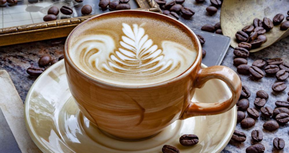 20 Best La Jolla Coffee Shops