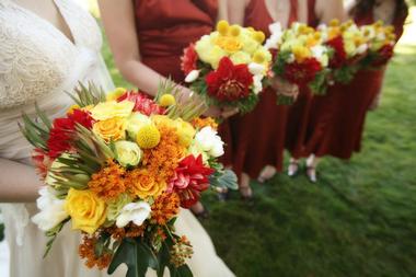 Wedding Venues Near Me: Waunita Hot Springs Ranch