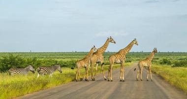 25 Best Places to Visit in Africe