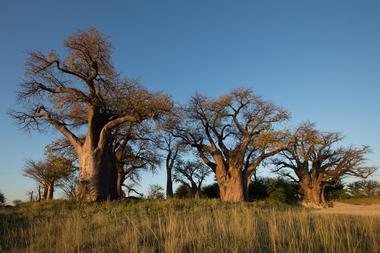 Nxia Pan National Park