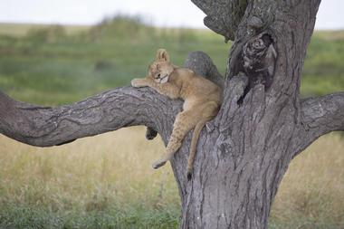 Serengeti National Park
