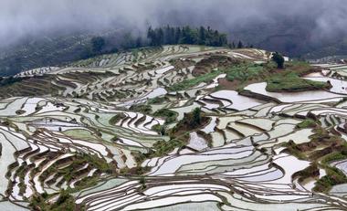 Yunnan