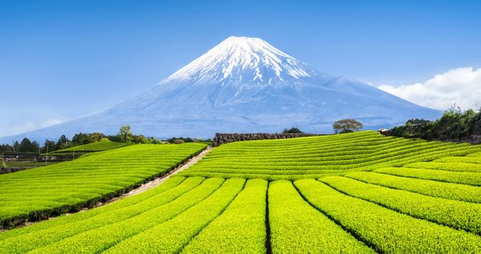 25 Best Places to Visit in Japan