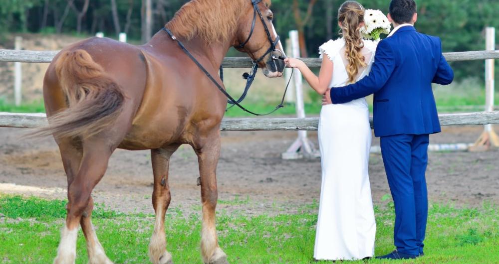 25 Best Ranch Wedding Venues in USA