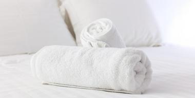 Hotels in Seattle: University Inn - A Staypineapple Hotel