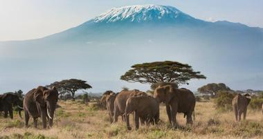 25 Best Things to Do in Africa