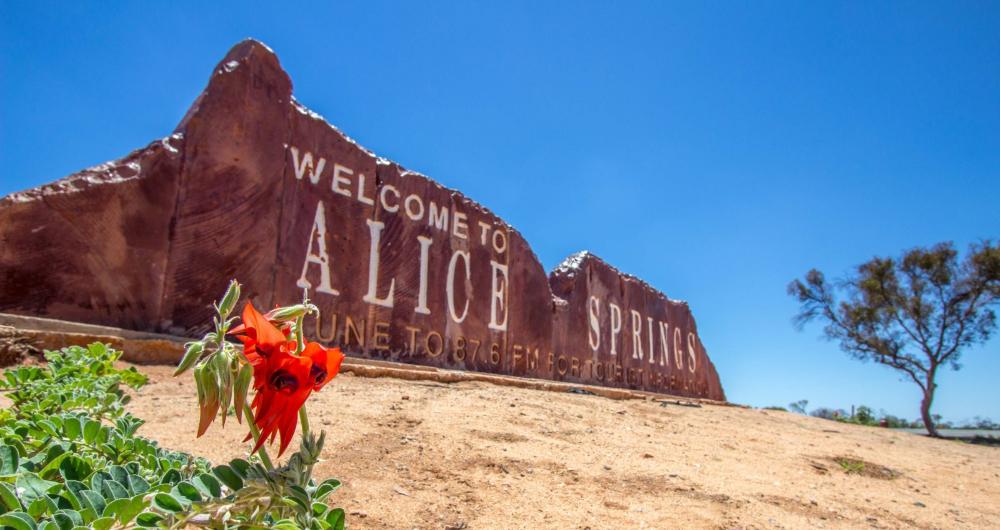 13 Best Things to Do in Alice Springs