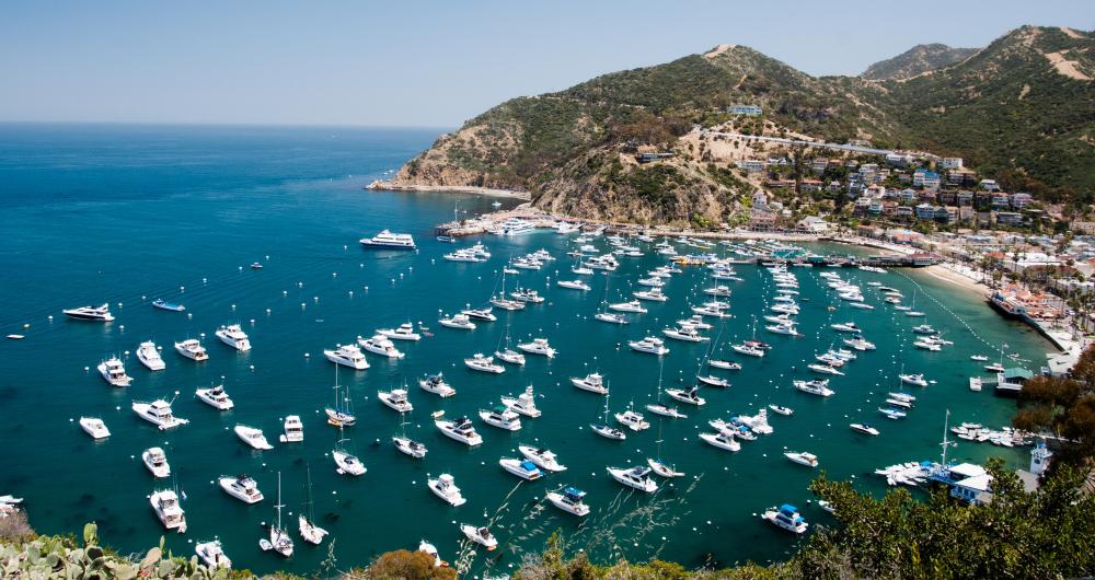 19 Best Things to Do in Avalon, CA