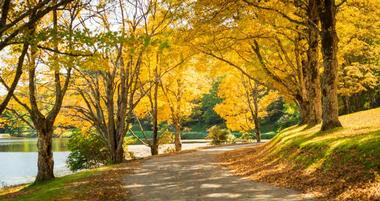  Boone, North Carolina