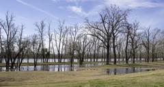Bossier City, LA