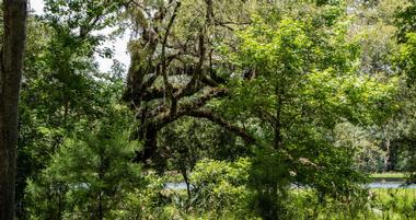 Discover Brooksville, FL