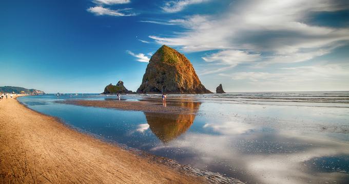 are dogs allowed on cannon beach oregon