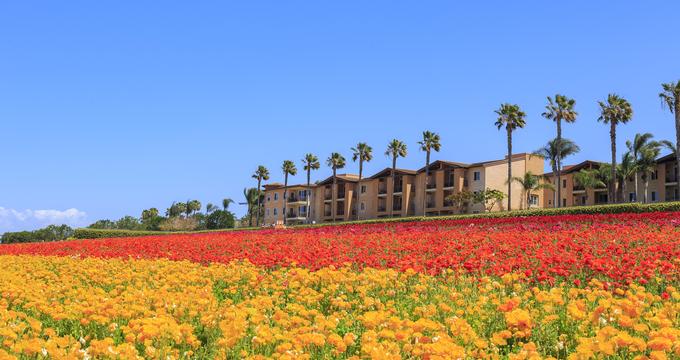 25 Best Things To Do In Carlsbad California