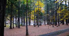 Charlemont, MA