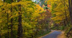 Charlotte, VT