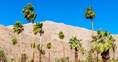 Things to Do in Coachella Valley, California