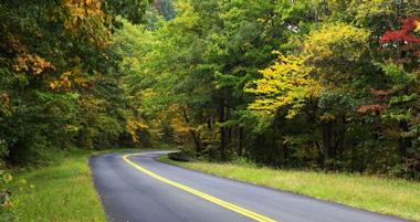 Cosby, TN