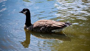Things to Do in Covington