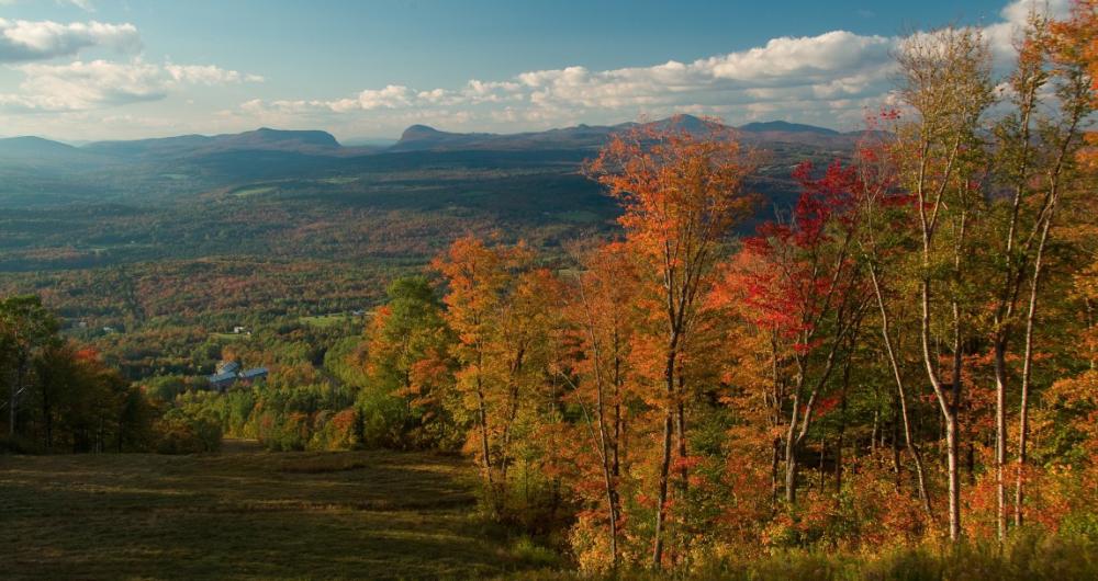 4 Best Things to Do in East Burke, VT