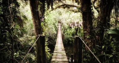 Things to Do in Estero, Florida