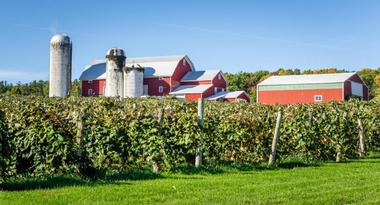 Things to Do in The Finger Lakes Region, NY