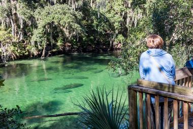 Fun Things to Do in Florida with Kids